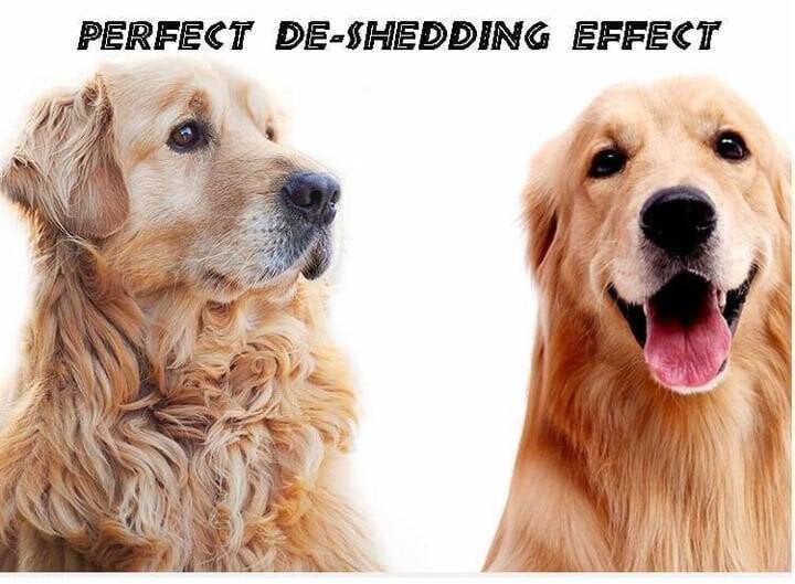 Skanto | Pet Safe Dematting Karde