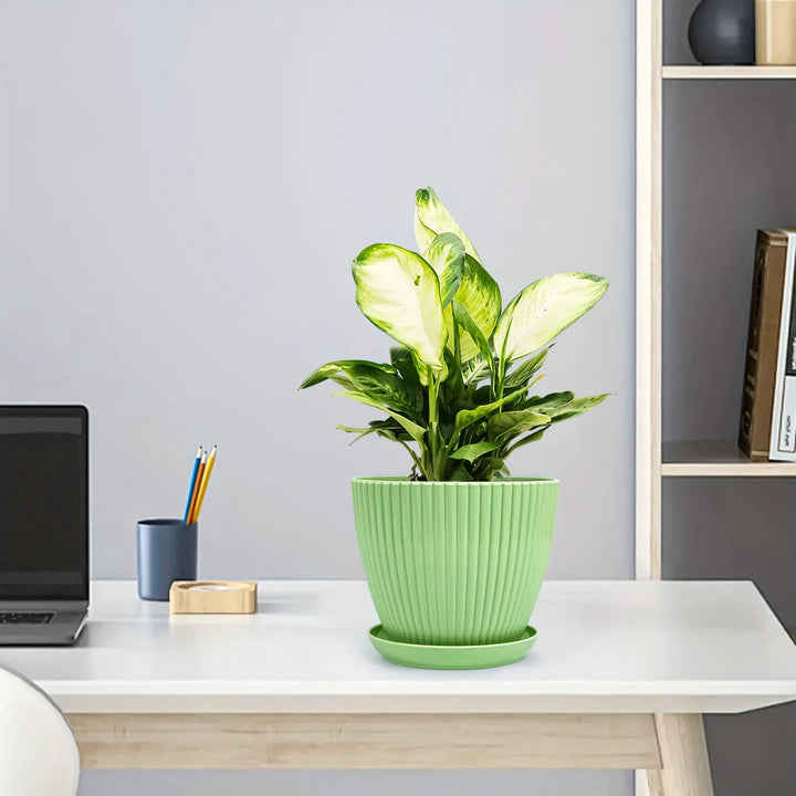 Skanto | Blomsterpotte med sporstruktur og skål – Robust plastpotte for planter