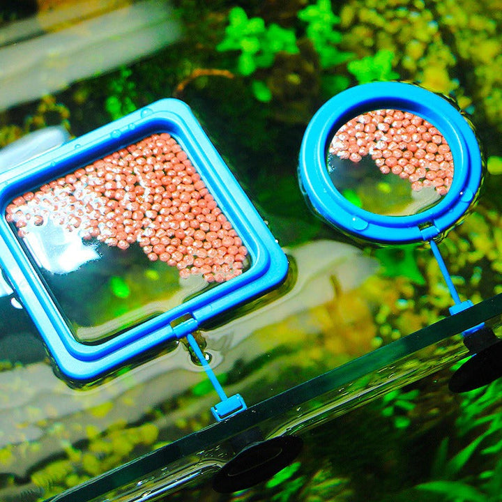 Skanto | Akvarium mating ring