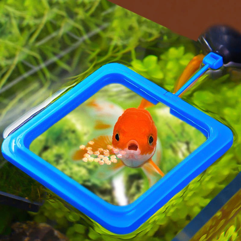 Skanto | Akvarium mating ring