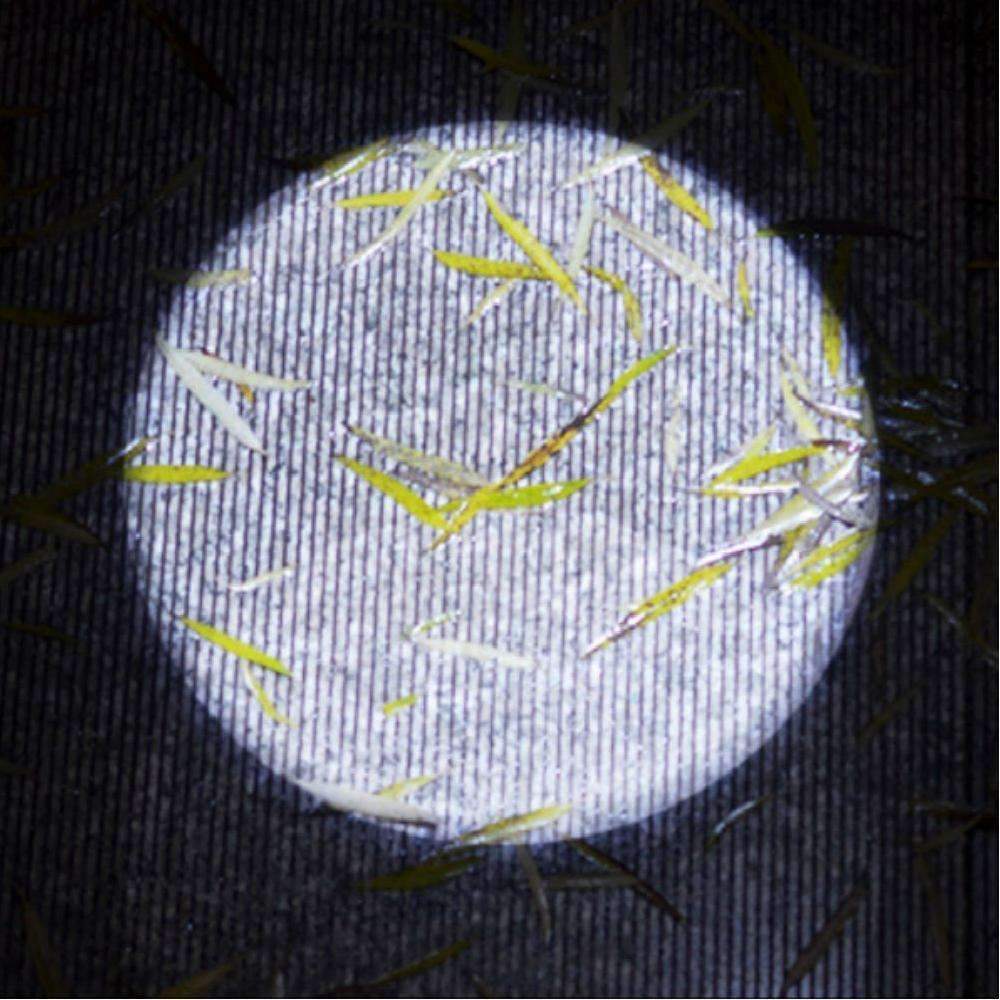 Skanto | USB Lommelykt Kraftig Oppladbar - Aluminiumlegering Vanntett LED