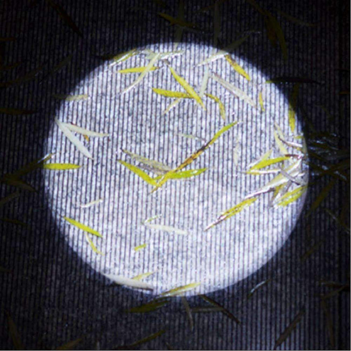 Skanto | USB Lommelykt Kraftig Oppladbar - Aluminiumlegering Vanntett LED