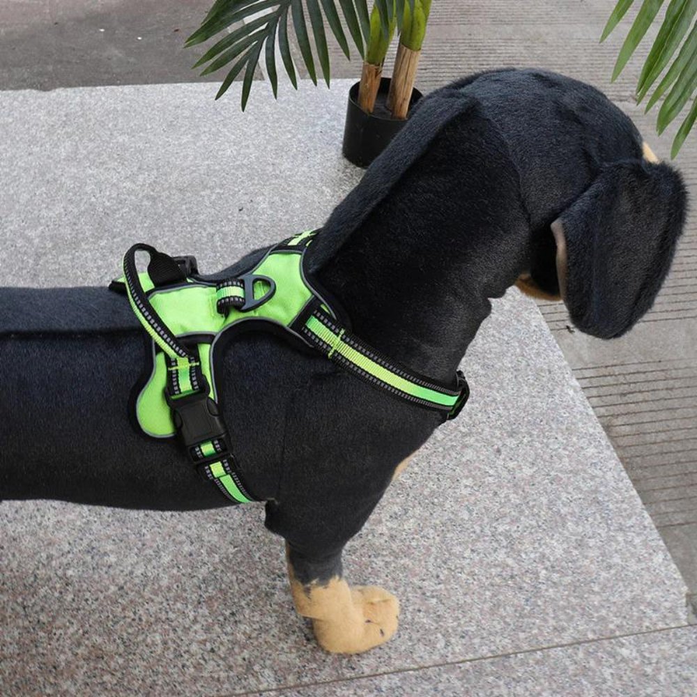 FlexHarness • Hundesele uten trekk