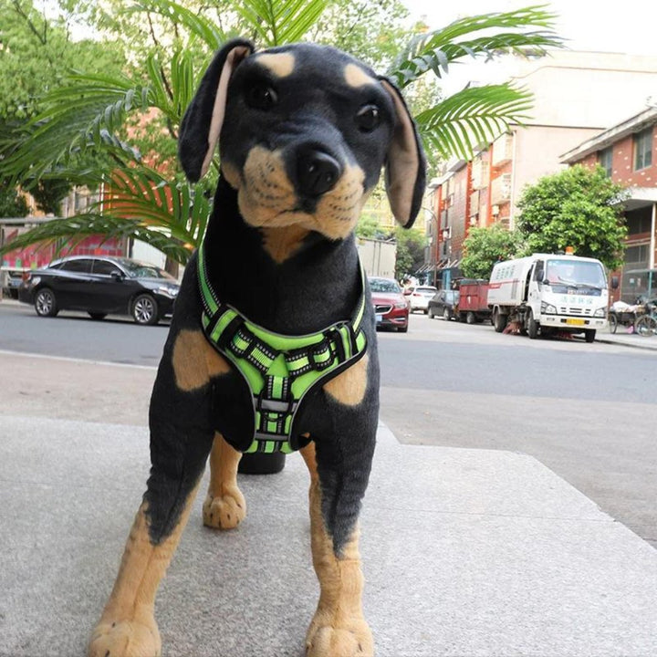 FlexHarness • Hundesele uten trekk
