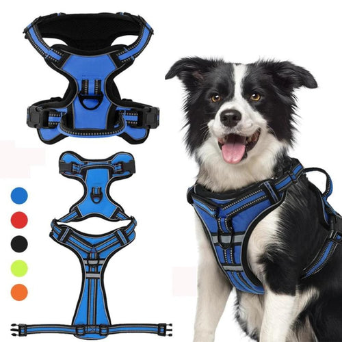 FlexHarness • Hundesele uten trekk