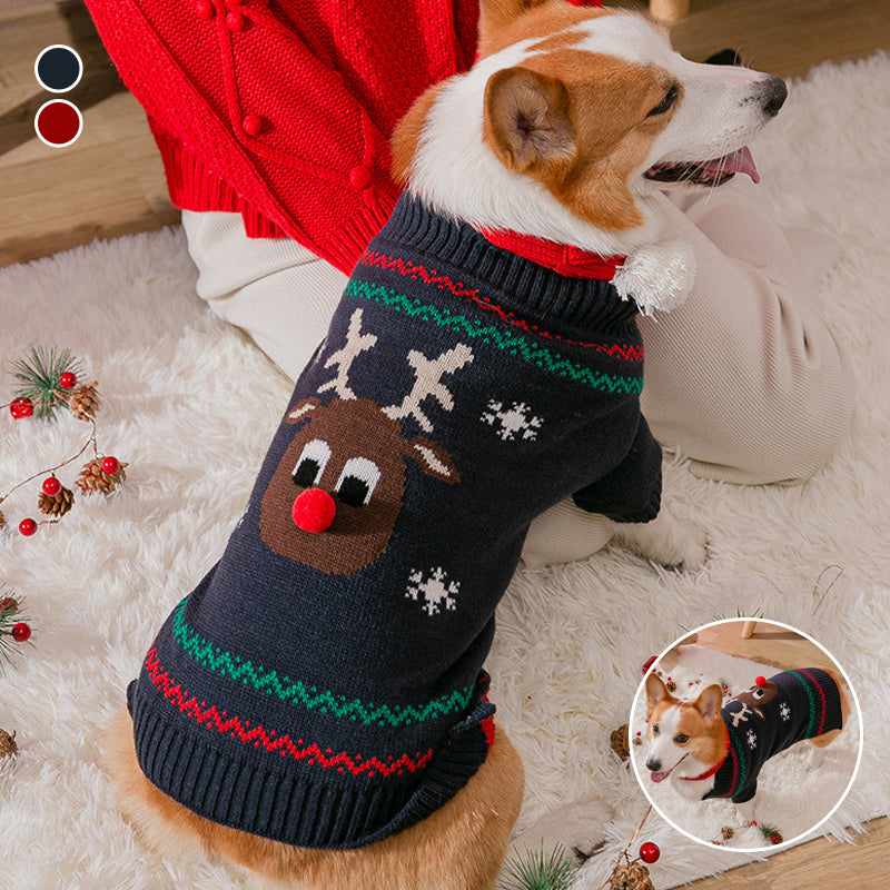 Varm julekleding for kjæledyr | Skanto