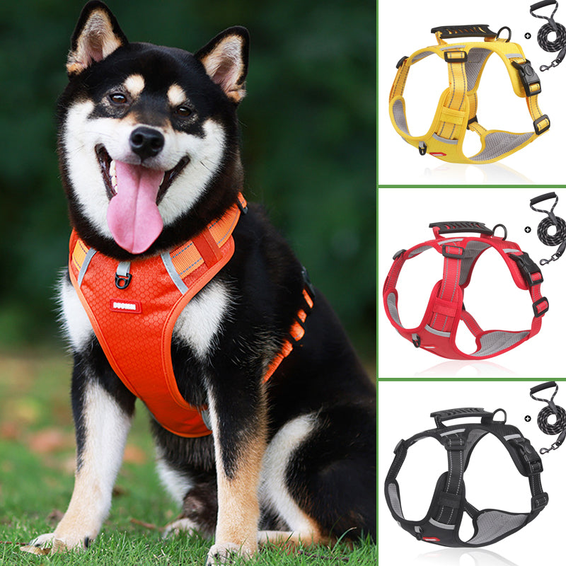 Skanto | Reflekterende Hundesele