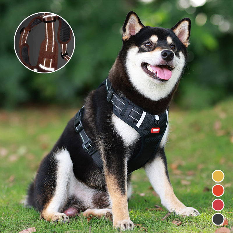 Skanto | Reflekterende Hundesele
