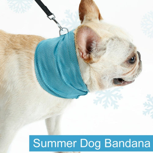 Cooling Bandana (CS15) | Skanto