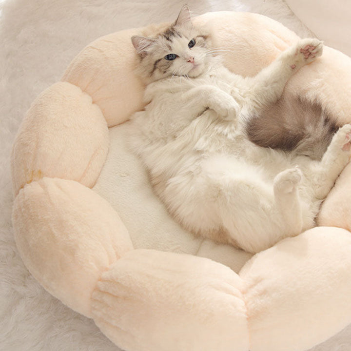 Skanto | Dyp Søvn Blomst Form Katt Bed