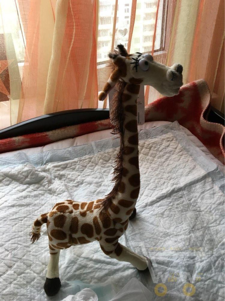 Skanto | Giraffe Kosedyr