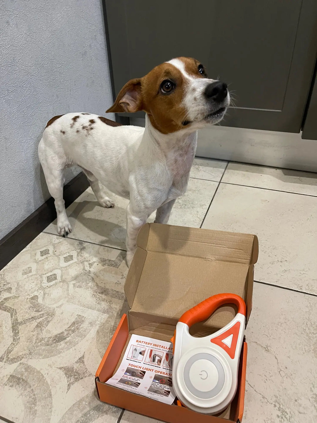GlowGuard Lyskabel Hundesele med Lommelykt Skanto