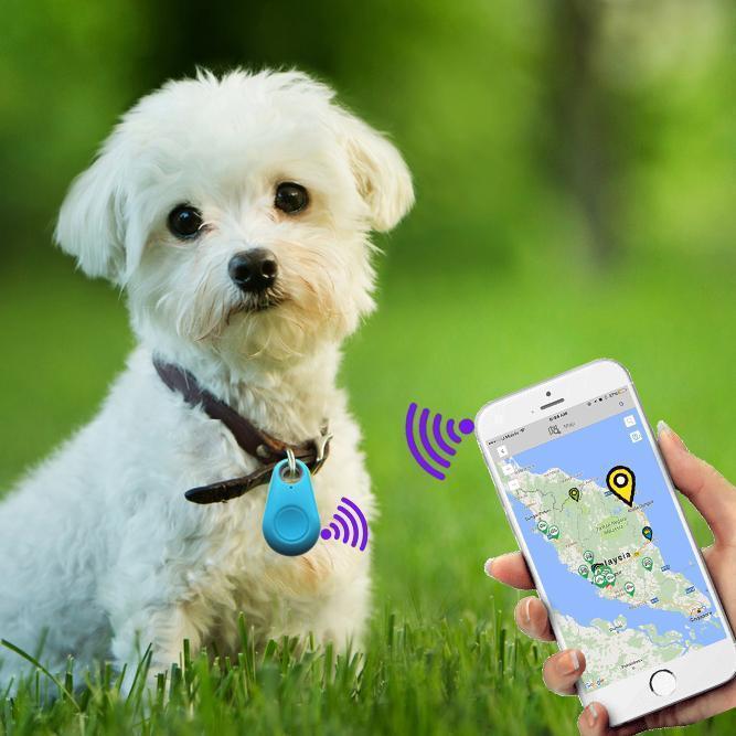 Skanto | GPS Kjæledyr Tracker