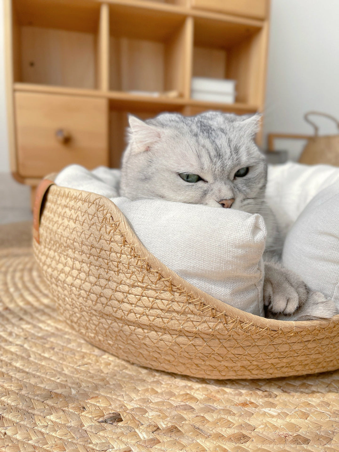 Håndlaget Komfortabel Katt Seng - LuxeSnooze Skanto