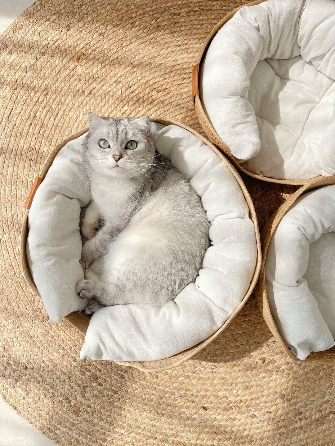 Håndlaget Komfortabel Katt Seng - LuxeSnooze Skanto
