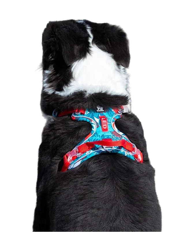 Komfortabel og holdbar hundesele – Vendo Skanto
