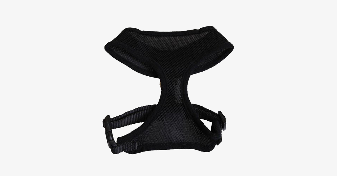 Skanto | Comfort Control Hundesele
