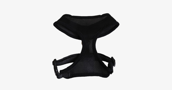 Skanto | Comfort Control Hundesele