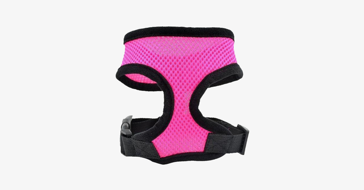 Skanto | Comfort Control Hundesele
