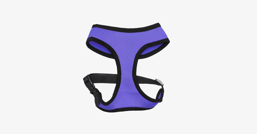Skanto | Comfort Control Hundesele