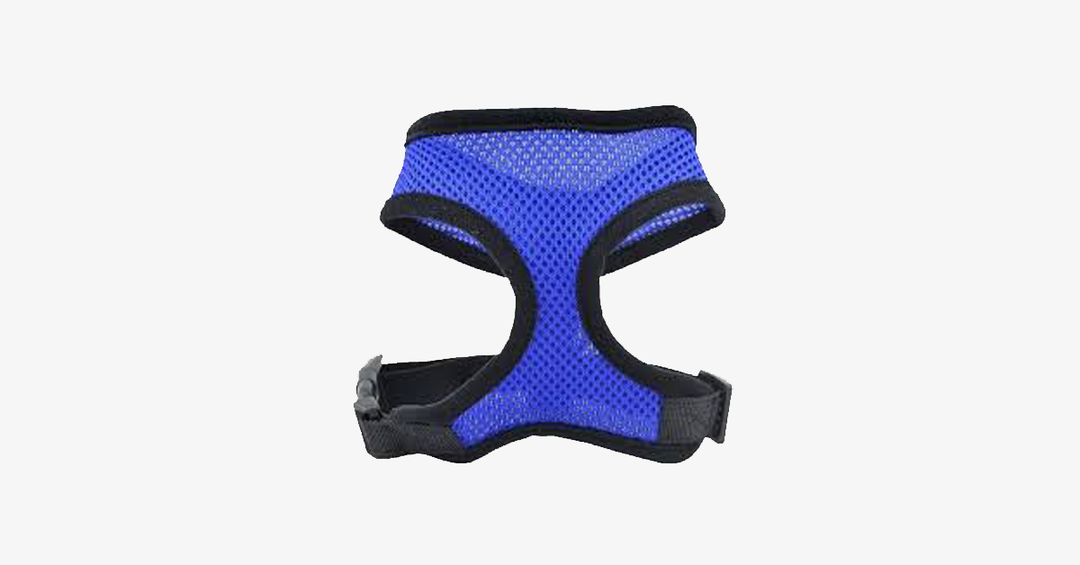 Skanto | Comfort Control Hundesele