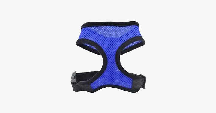 Skanto | Comfort Control Hundesele