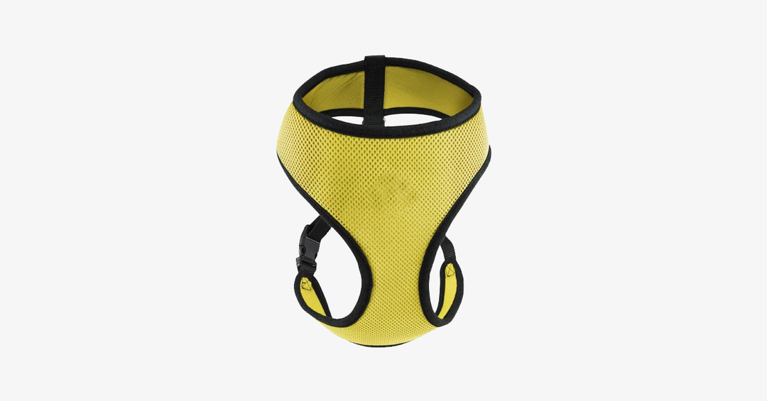 Skanto | Comfort Control Hundesele