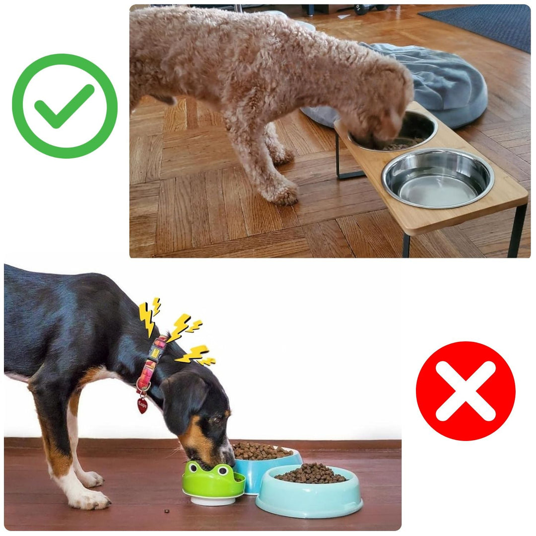 Hevet Dog Food Bowl – Bambusstativ med avtakbare rustfrie stålskåler | Skanto
