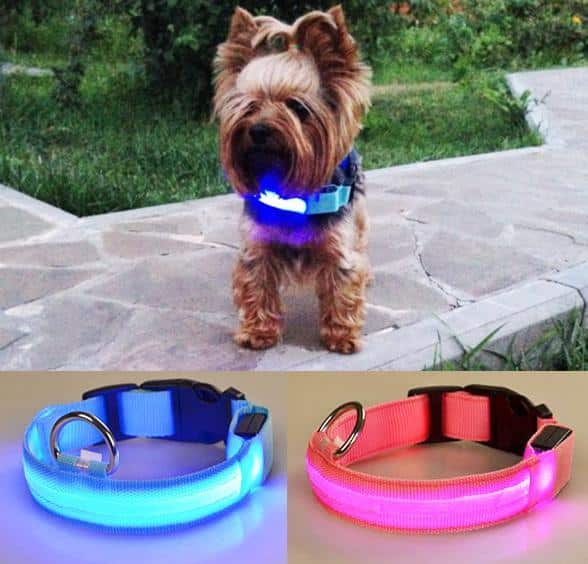Hundehalsbånd med LED-lys | Skanto