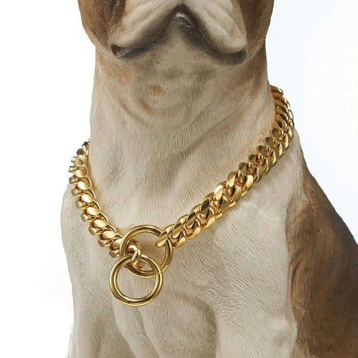 Skanto | Heavy Duty Hundehalsbånd