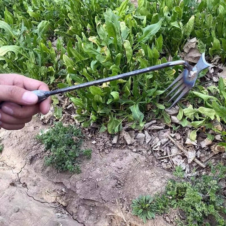 Skanto | Weed Tool Remover