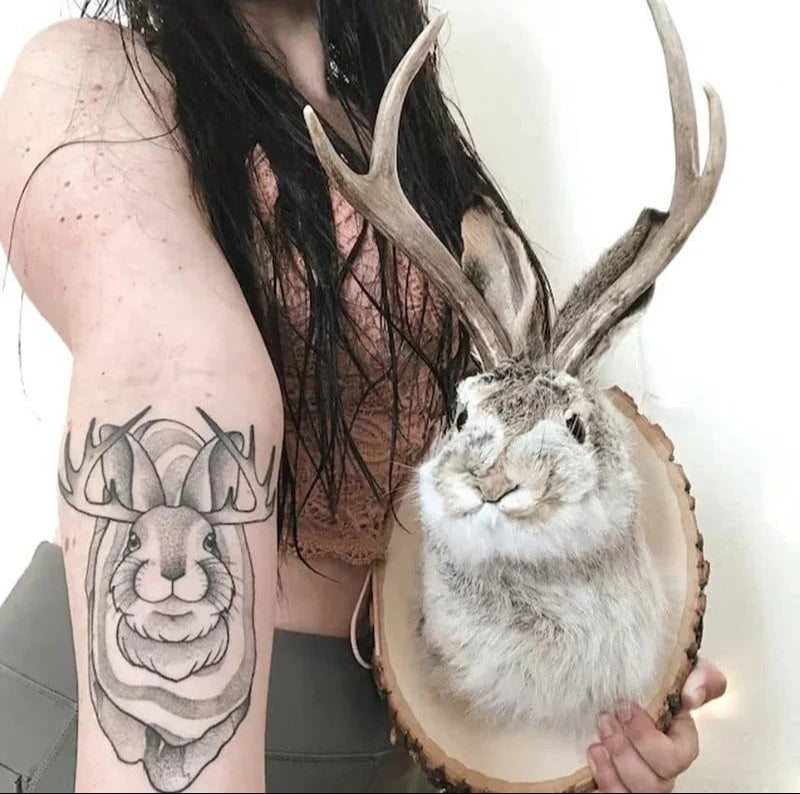 Skanto | Jackalope Veggdekor