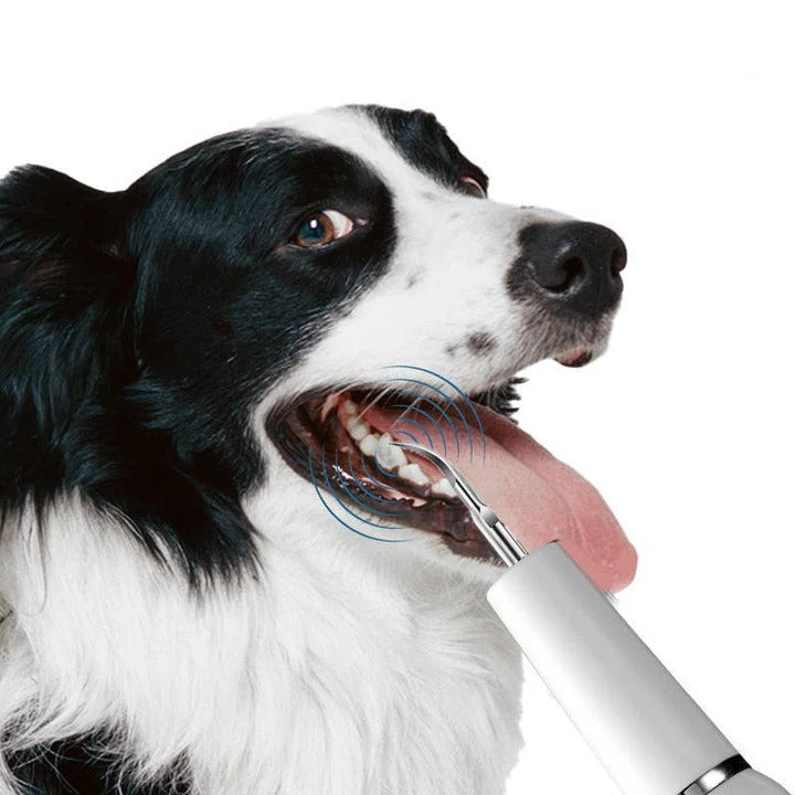 Skanto | Pet Oral Cleaning Tool for Fresh Breath & Grooming Care