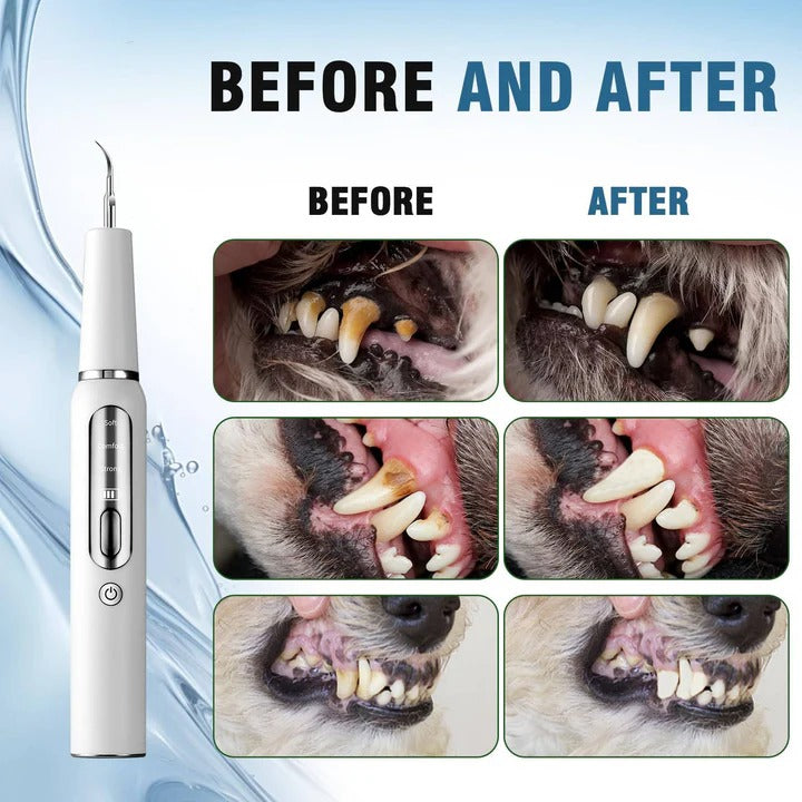 Skanto | Pet Oral Cleaning Tool for Fresh Breath & Grooming Care