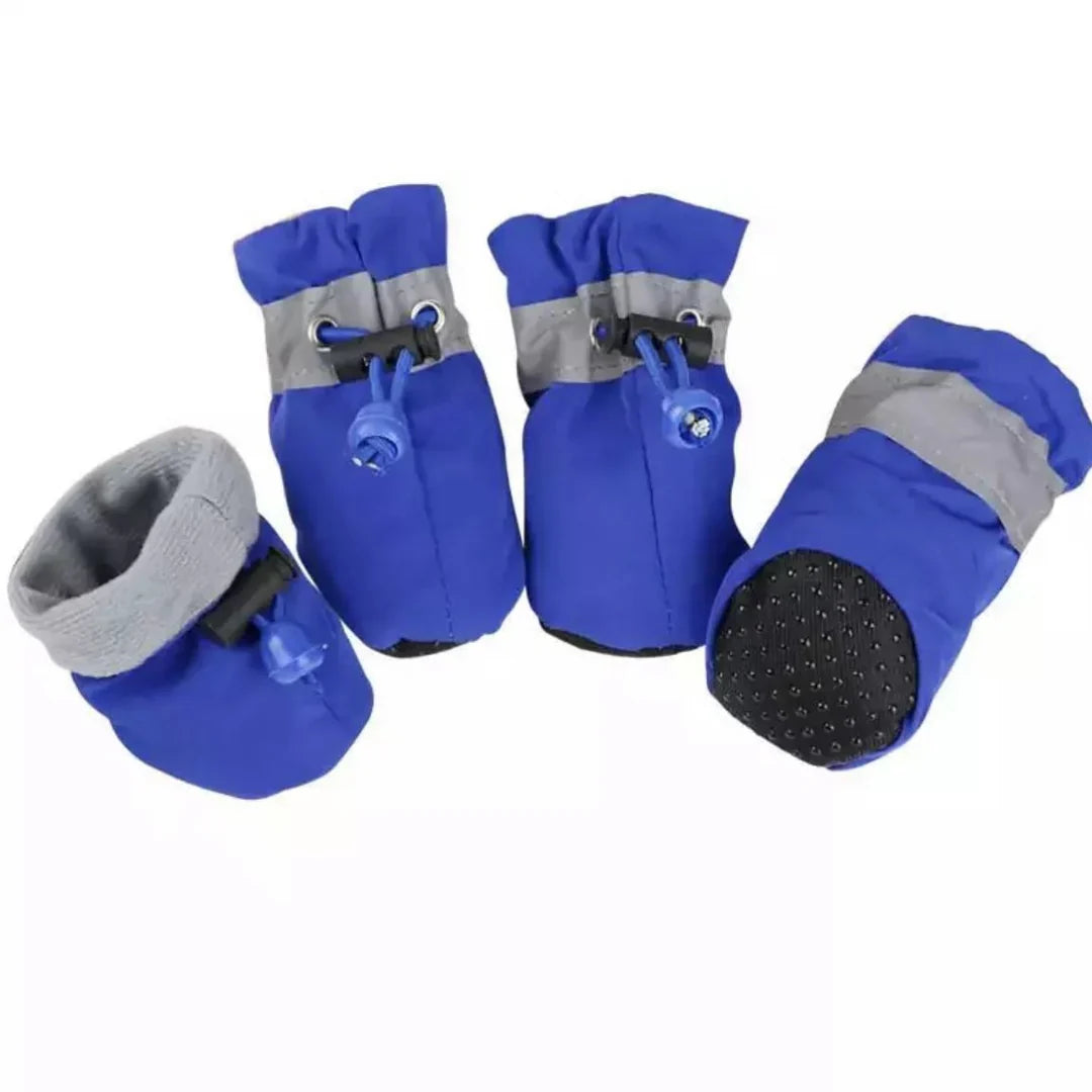 Winter Paw Protection – Paw Walks Skanto