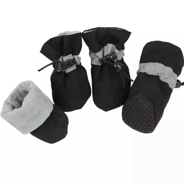 Winter Paw Protection – Paw Walks Skanto