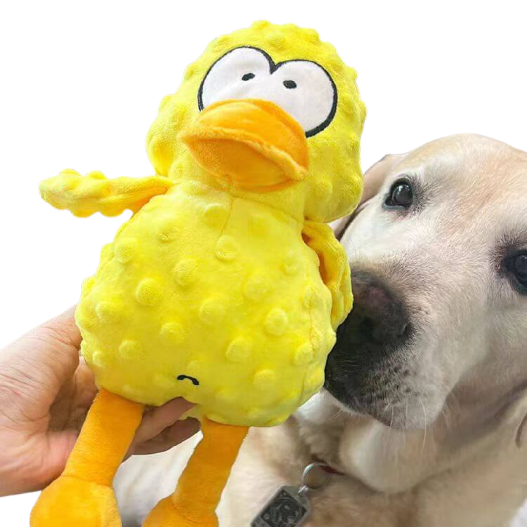 Skanto | Hund Plush Koseleketøy Tough Squeaky