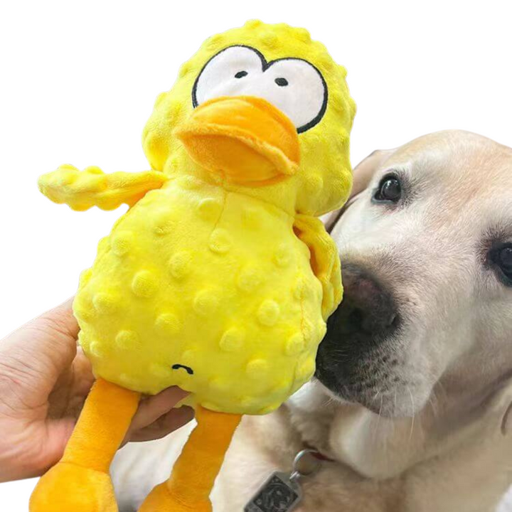 Skanto | Hund Plush Koseleketøy Tough Squeaky