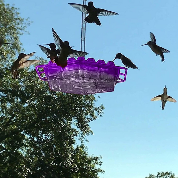 Skanto | Hage Hengende Kolibri Fôringsapparat
