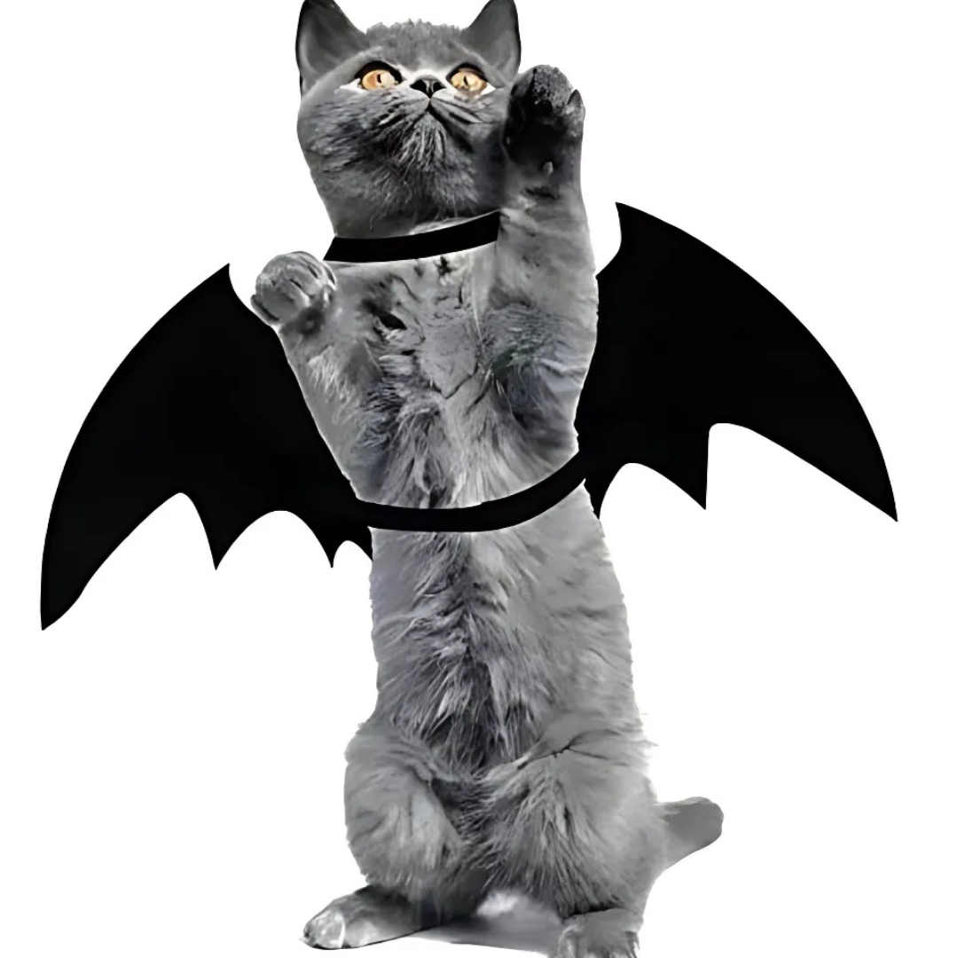 Skanto | Spooky Halloween Pets Flaggermusvinger