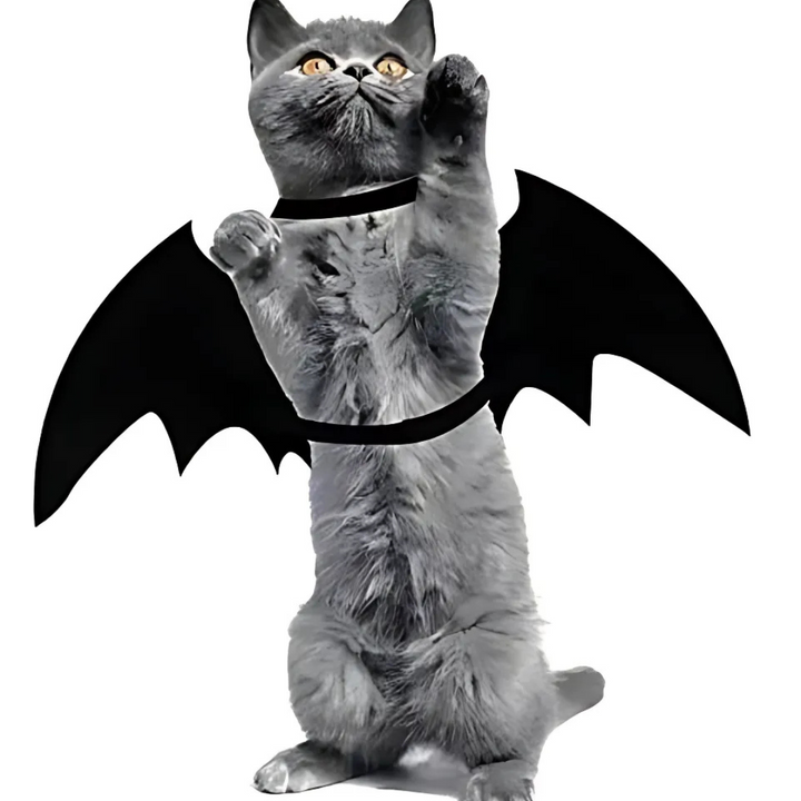 Skanto | Spooky Halloween Pets Flaggermusvinger