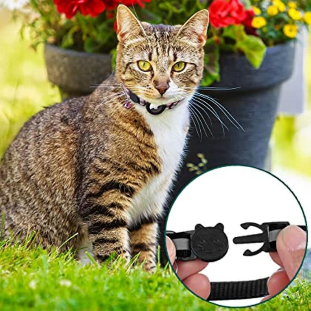 Skanto | Katt halsbånd med bjelle og GPS sporingsbrakett