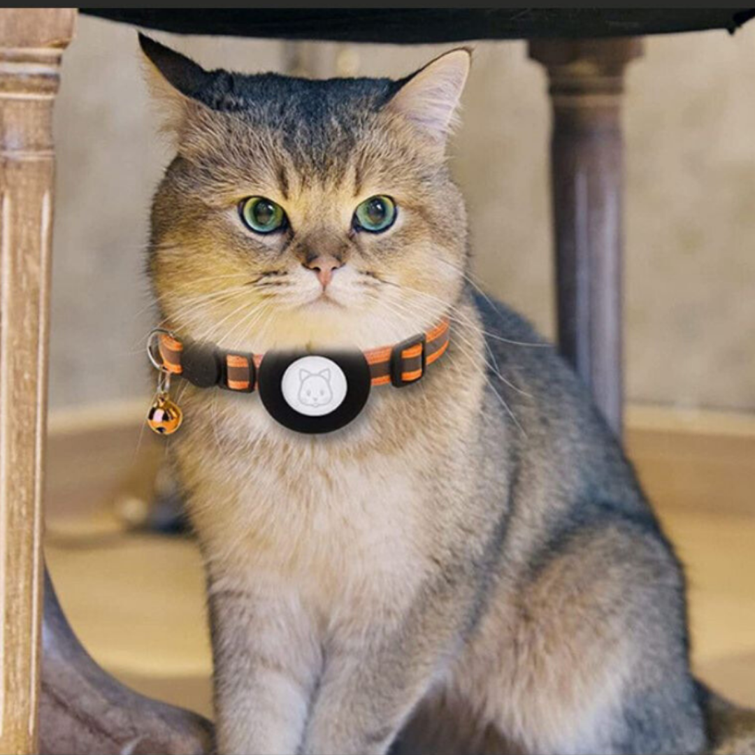 Skanto | Katt halsbånd med bjelle og GPS sporingsbrakett