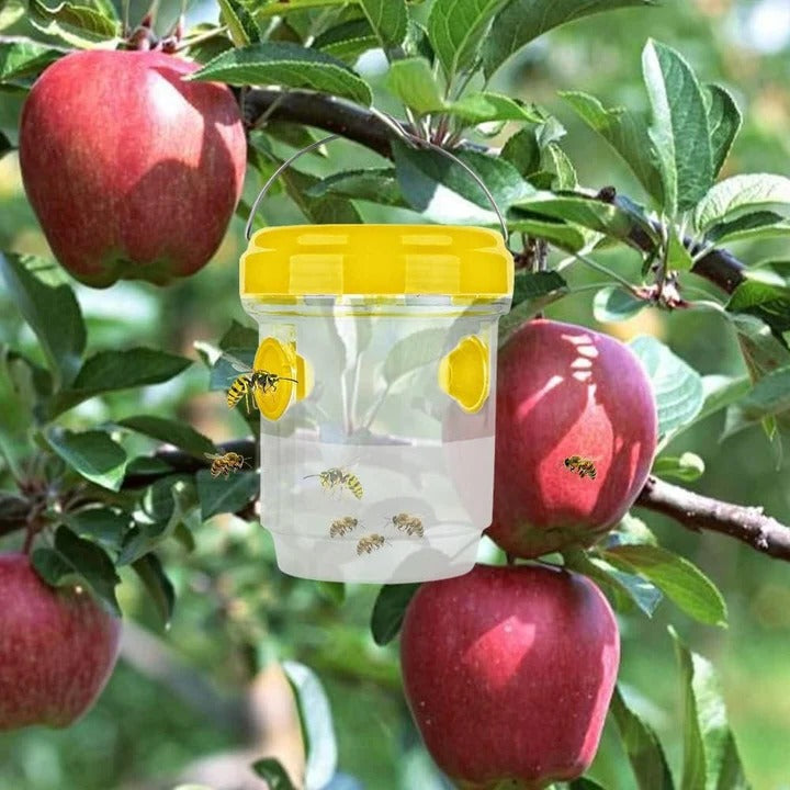 Skanto | Insekt Fruktfluefeller