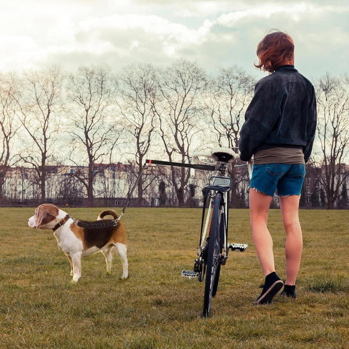 Skanto | Bike Dog Tow Leash