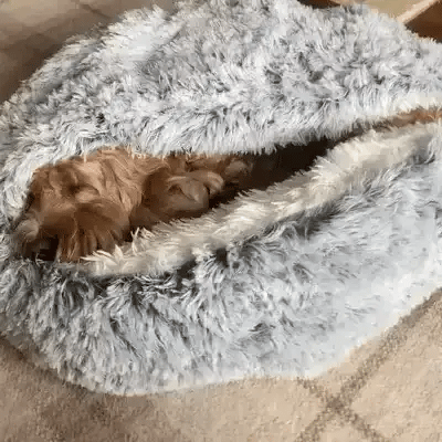 Skanto | Cozy Cave Pet Bed | Beroligende og Komfortabel Hundeseng for Dyp Avslapning