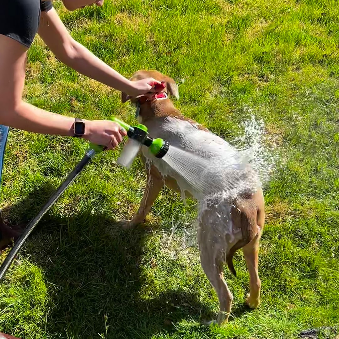 Skanto | Hundefor dusj sprayer - WashBuddy