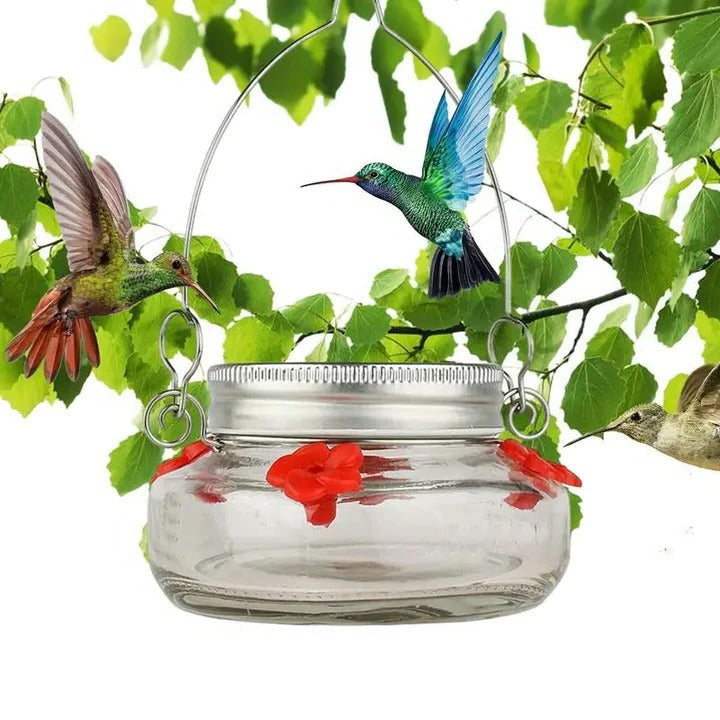 Skanto | Clear Flower Port Kolibri Fugl Maters