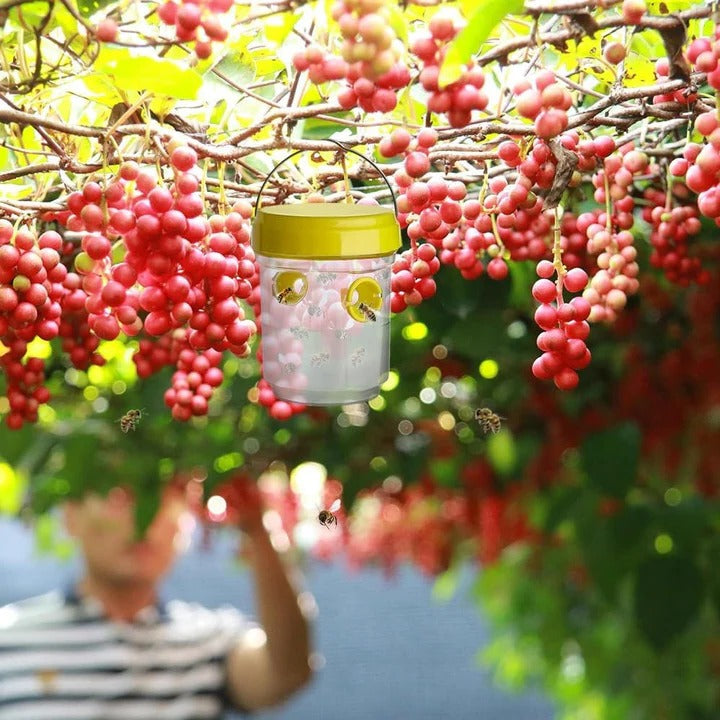 Skanto | Insekt Fruktfluefeller