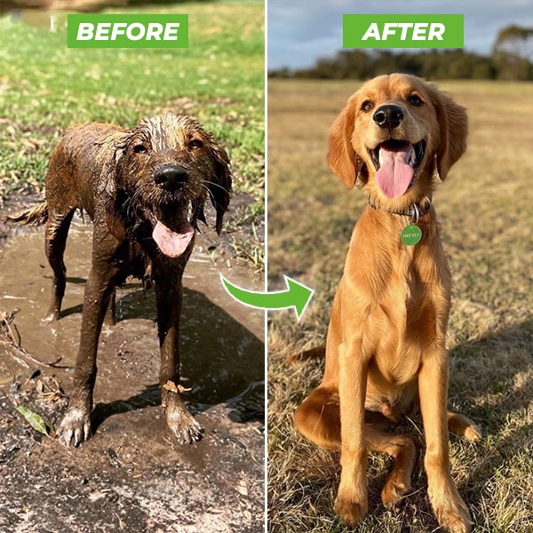 Pet Bath Spray - CleanPaws Skanto